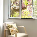 Arcos 61
